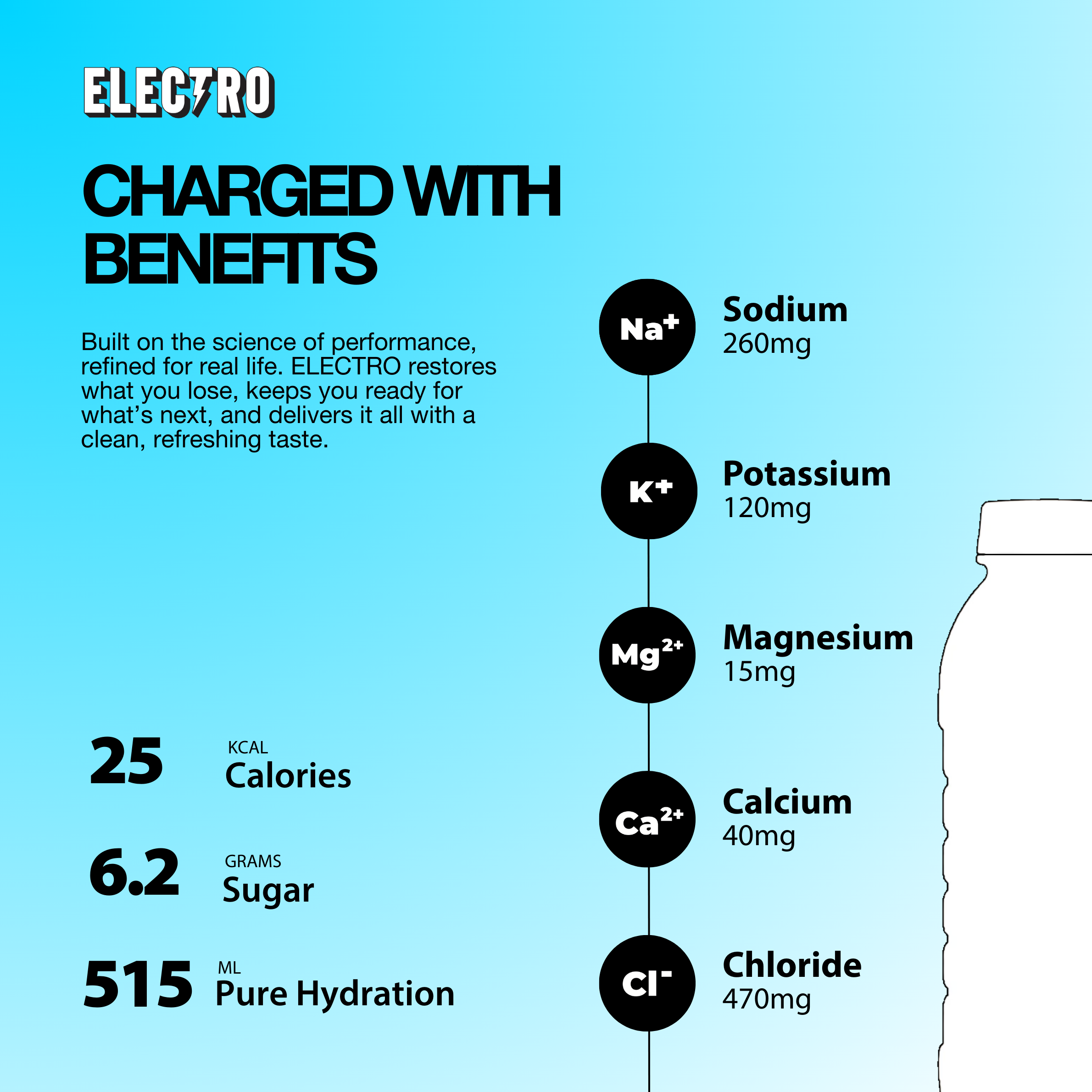 Blueberry Bundle (Pack of 6)